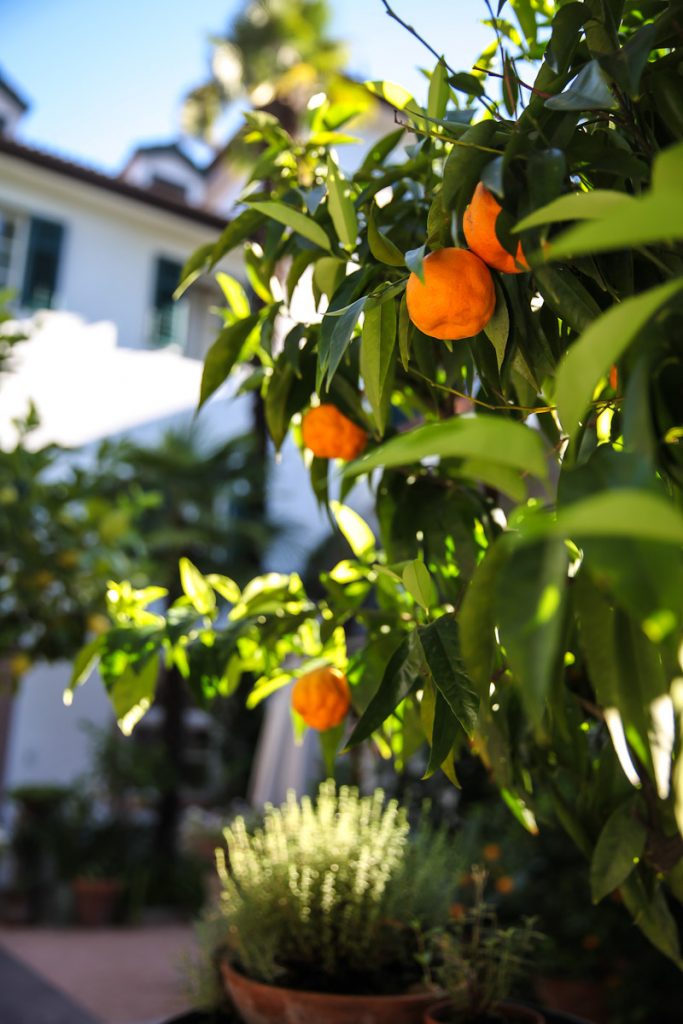 meetmerano ottmanngut hotel meran suedtirol white line hotel zuckerzimtundliebe pretty hotels