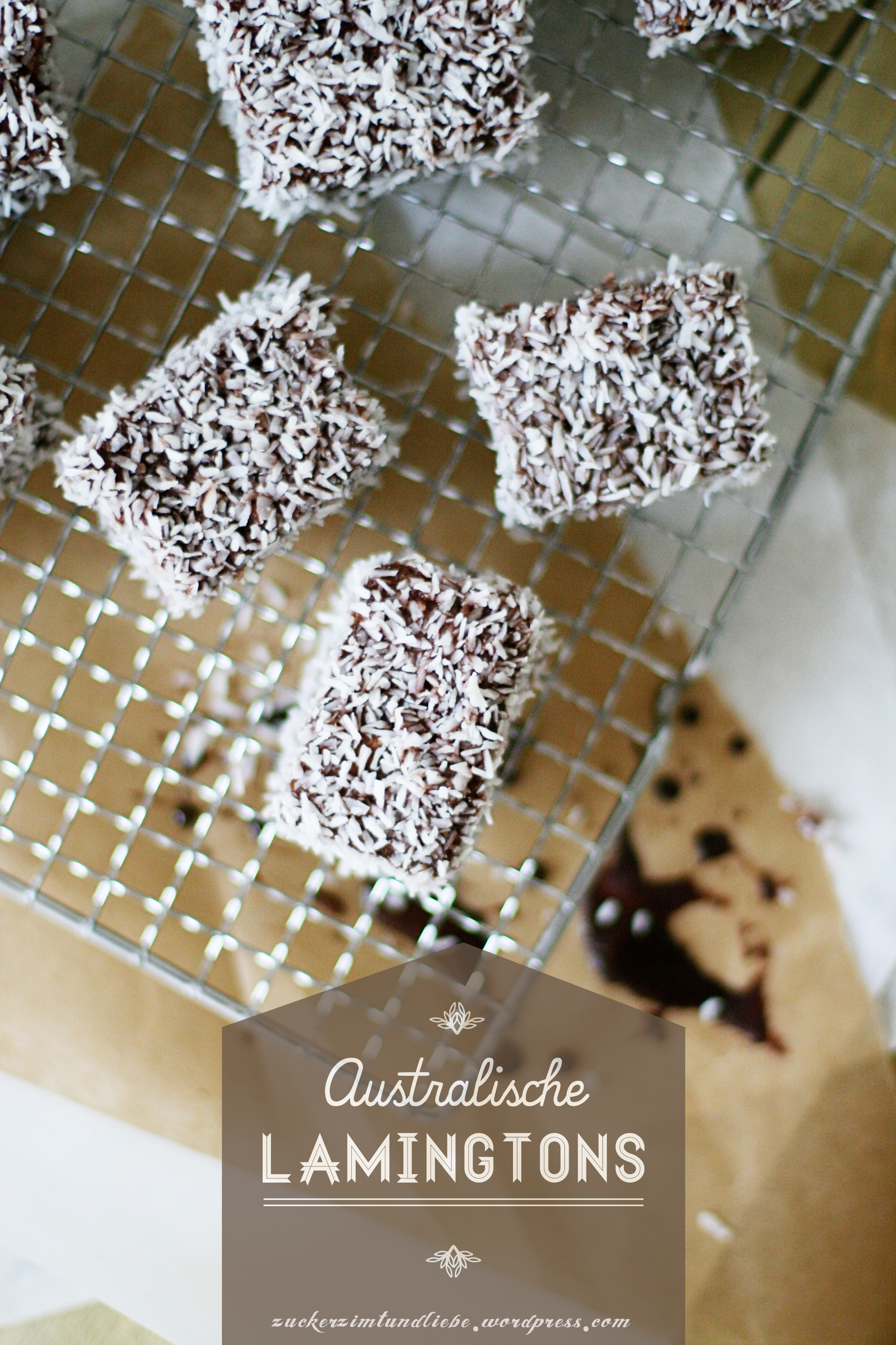 Lamington rezept recipe Kokoskuchen Schokokuchen Foodstyling australische rezepte zuckerzimtundliebe foodstylist