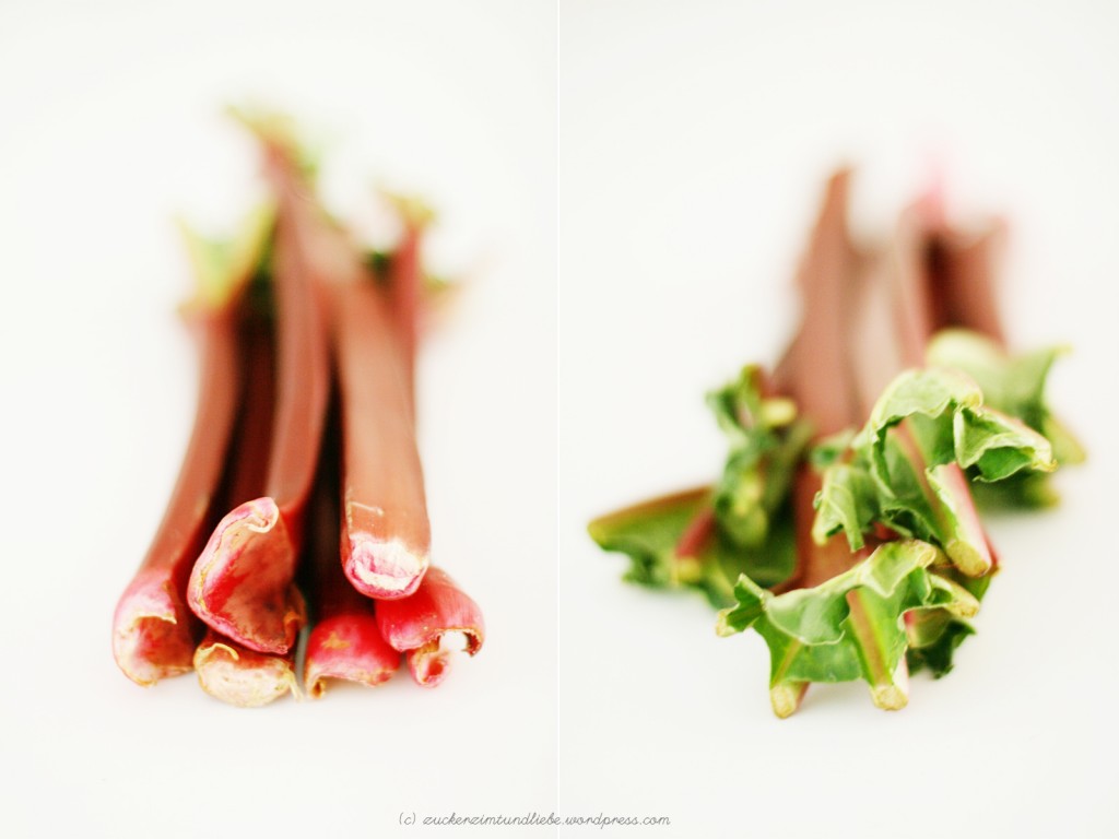 rhabarber foto foodphoto still 
