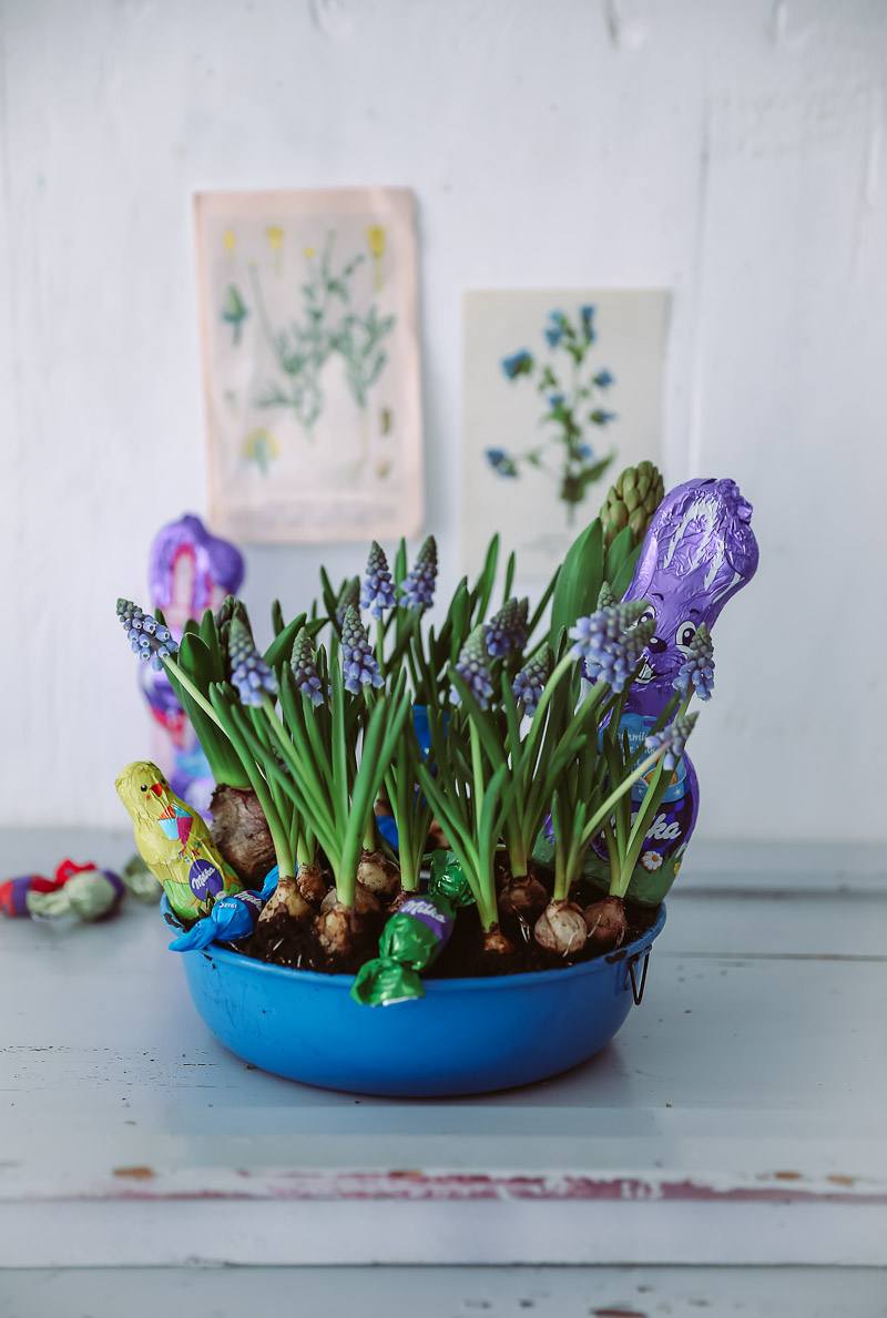 Osterkranz Diy ostern basteln easter wreath ostern milka schmunzelhase easy last minute diy easter wreath zuckerzimtundliebe