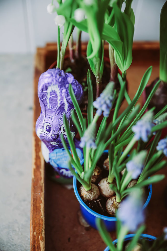 Osterkranz Diy ostern basteln easter wreath ostern milka schmunzelhase easy last minute diy easter wreath zuckerzimtundliebe