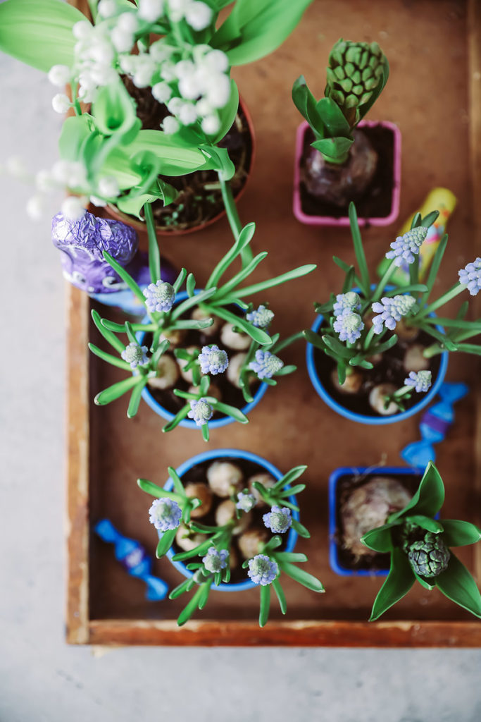 Osterkranz Diy ostern basteln easter wreath ostern milka schmunzelhase easy last minute diy easter wreath zuckerzimtundliebe