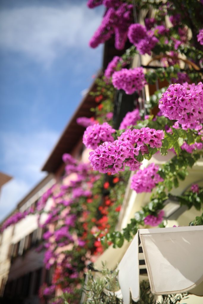 dulacetduparc hotel gardasee reisebericht reisetipp oberitalienische seen trentine riva del garda zuckerzimtundliebe reiseblog