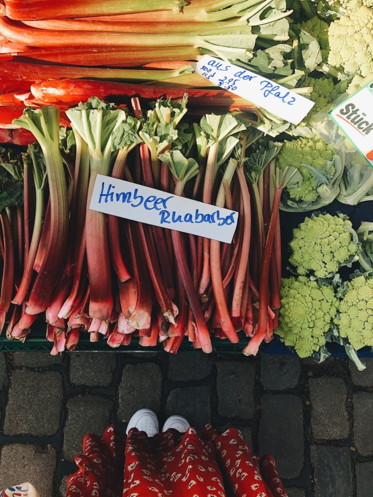Rhabarber Rhubarb farmers market