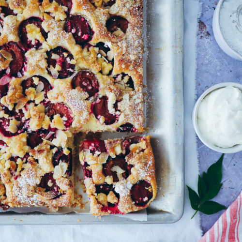 Pflaumenkuchen Zwetschgenkuchen Streuselkuchen Blech Rezept plum streusel sheet cake foodstyling food photography 1000 gute gruende obst zuckerzimtundliebe german cake recipe sommerkuchen pflaumenrezept zwetschgenkuchen ohne hefe einfacher kuchen foodstyling food photography backblog