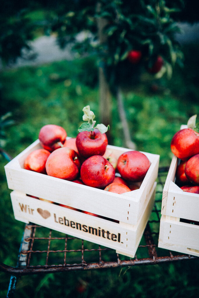 Apfelhof Jork Altes Land Edeka Regional apple picking red prince apfel