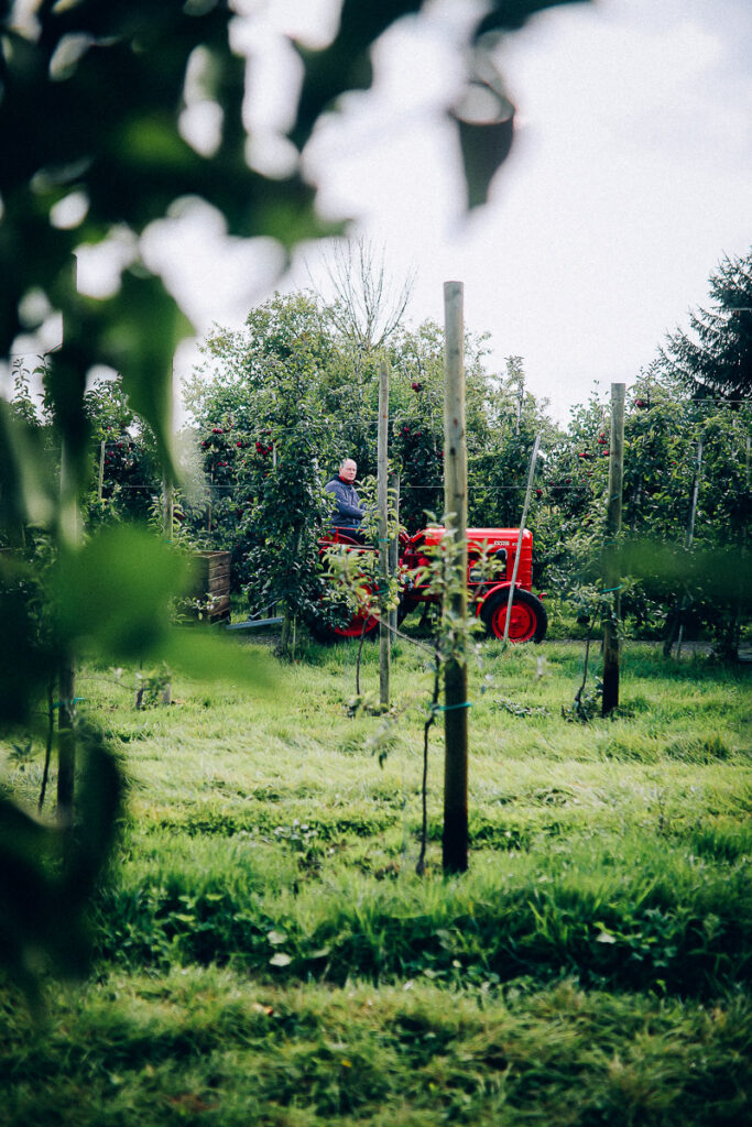 Apfelhof Jork Altes Land Edeka Regional apple picking red prince apfel
