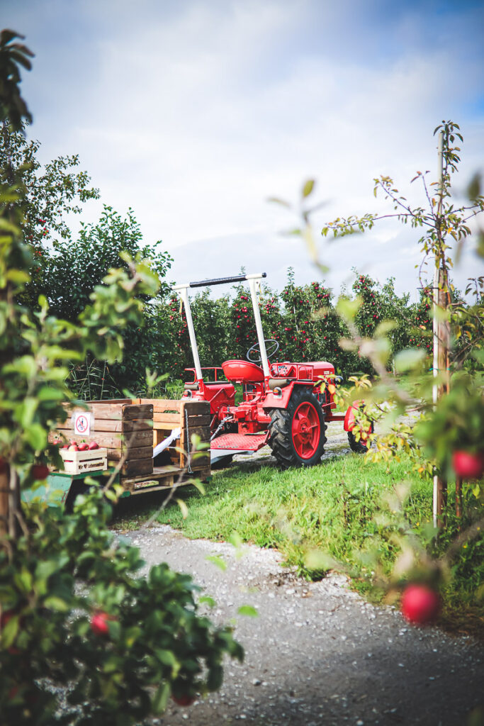Apfelhof Jork Altes Land Edeka Regional apple picking red prince apfel 