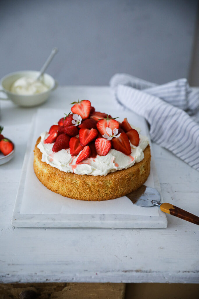 Rezept für Erdbeer Biskuitboden mit Sahne strawberry cream victoria sponge biskuitteig erdbeerkuchen klassiker einfach zuckerzimtundliebe foodstyling food photography strawberry cake german cake the bakefeed feedfeed